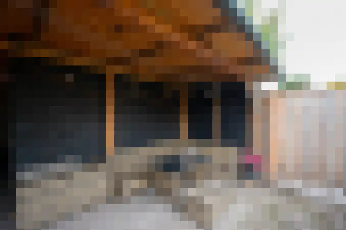 Zebraspoor 400 Maarssen thumbnail 36