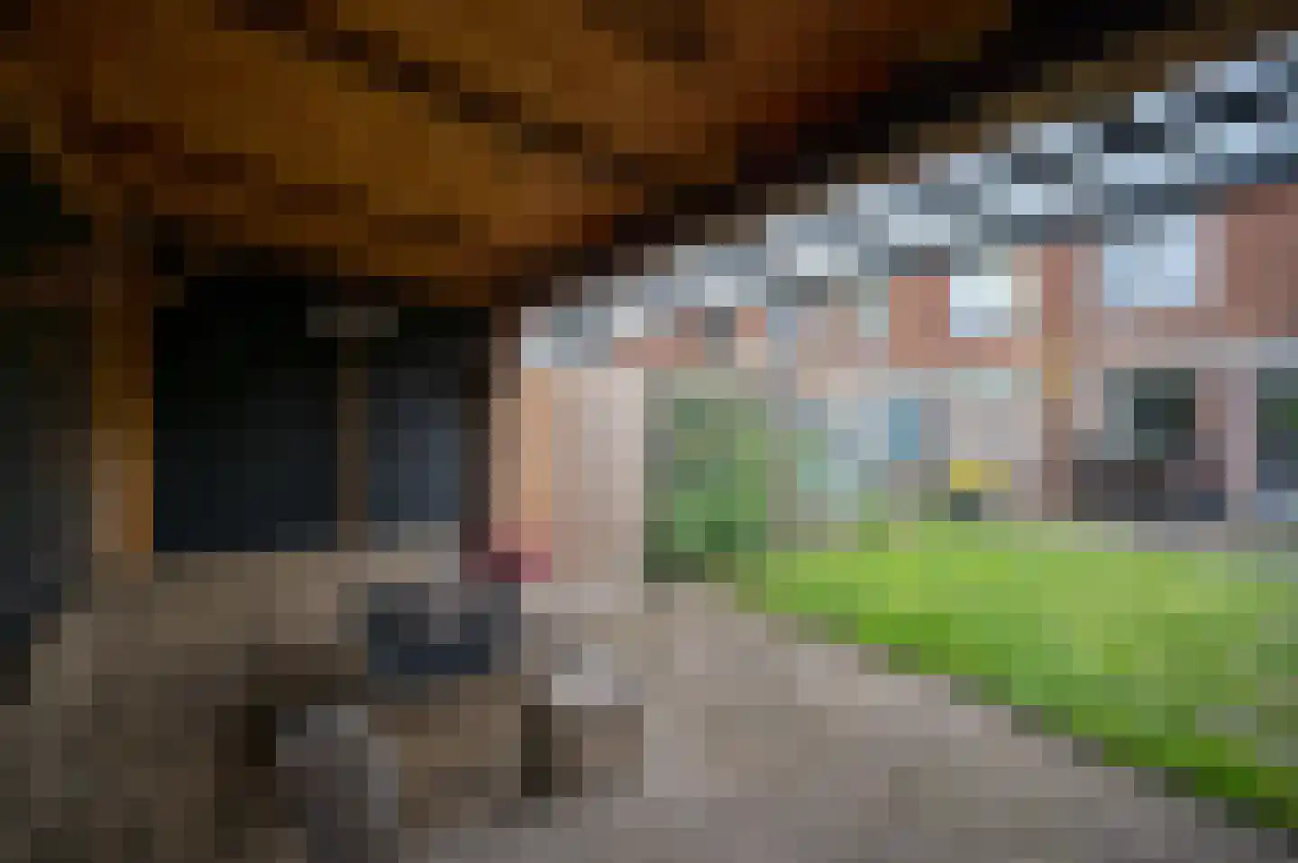 Zebraspoor 400 Maarssen thumbnail 37