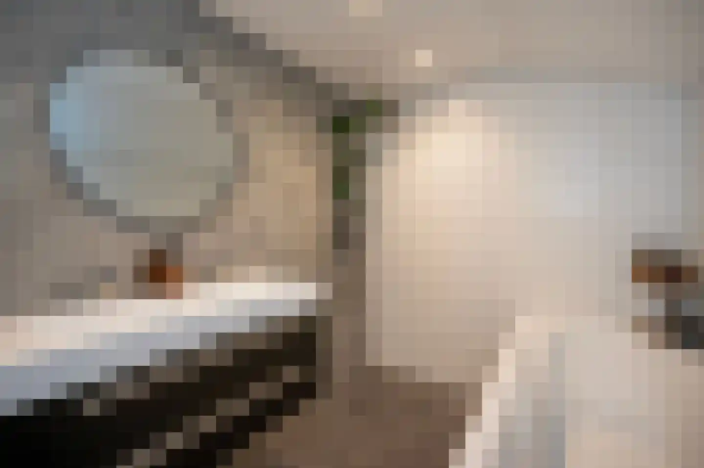Zebraspoor 400 Maarssen thumbnail 4