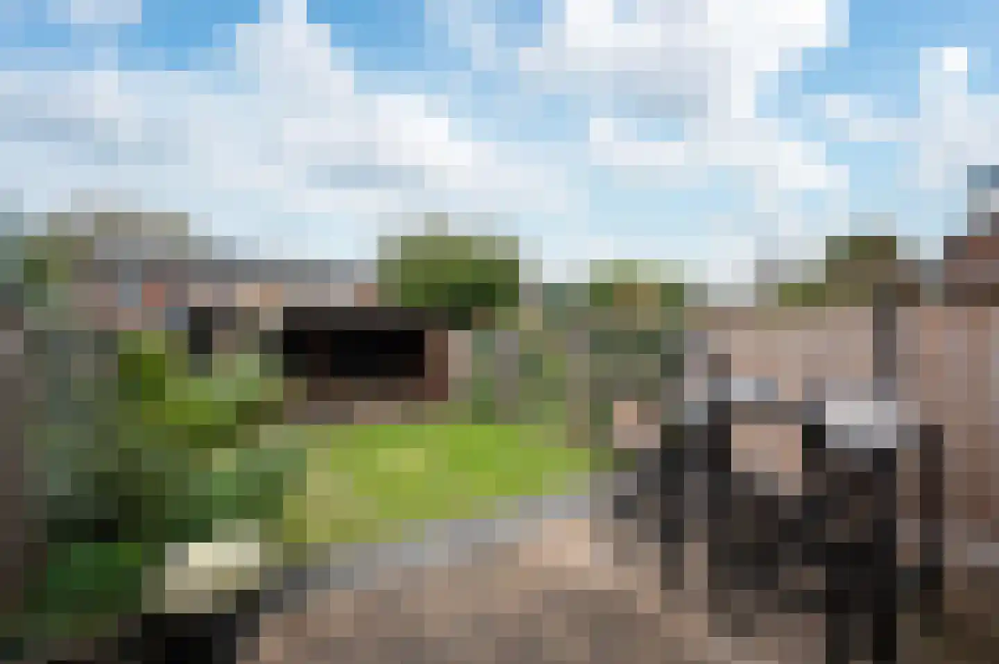 Zebraspoor 400 Maarssen thumbnail 5