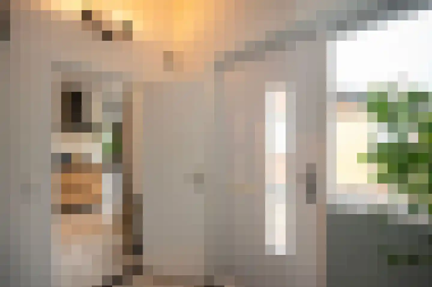 Zebraspoor 400 Maarssen thumbnail 8