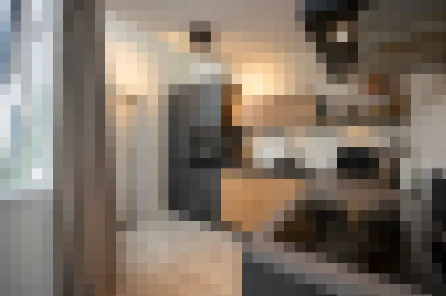 Zebraspoor 400 Maarssen thumbnail 9