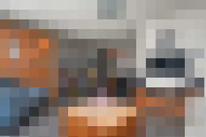 Zebraspoor 402 Maarssen thumbnail 11