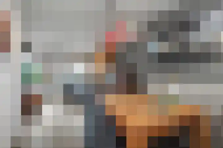 Zebraspoor 402 Maarssen thumbnail 12