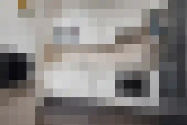 Zebraspoor 402 Maarssen thumbnail 16