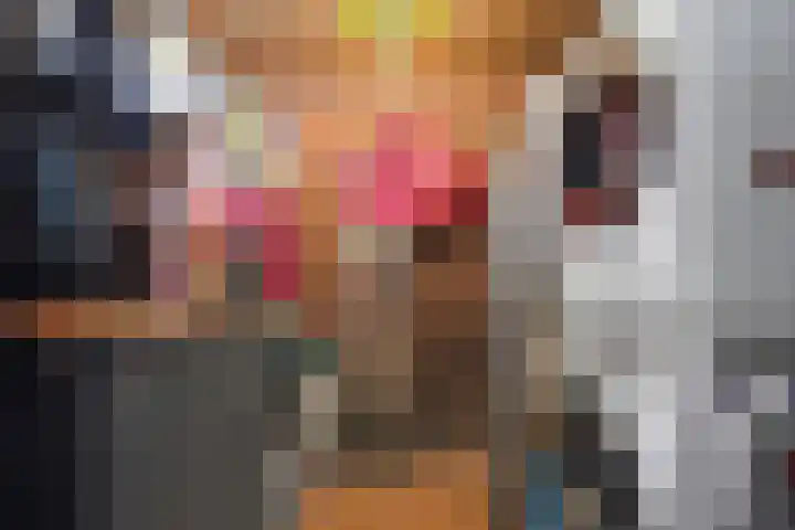 Zebraspoor 402 Maarssen thumbnail 20