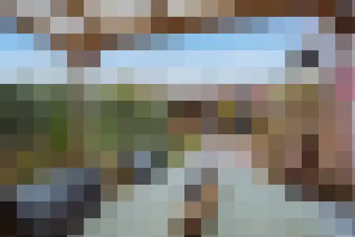 Zebraspoor 402 Maarssen thumbnail 33