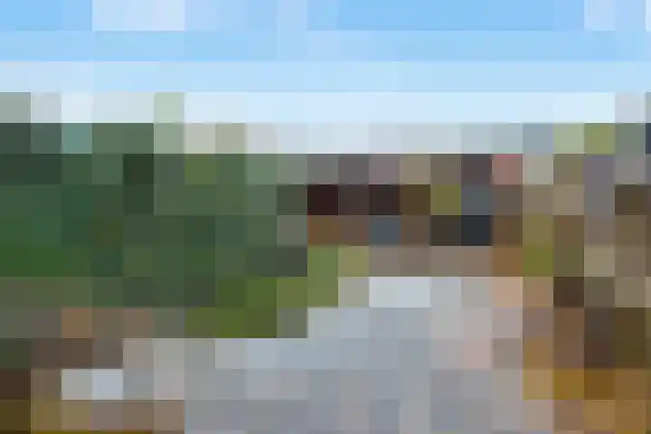 Zebraspoor 402 Maarssen thumbnail 35