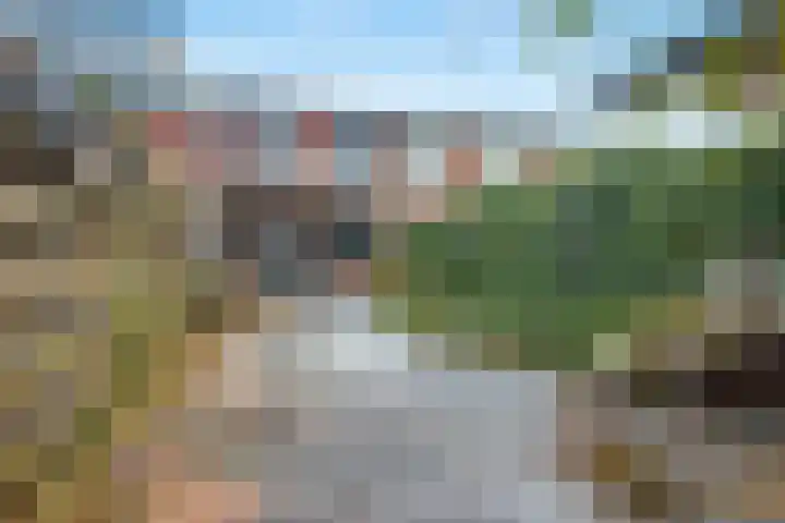 Zebraspoor 402 Maarssen thumbnail 36