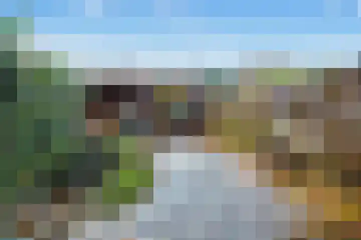Zebraspoor 402 Maarssen thumbnail 37