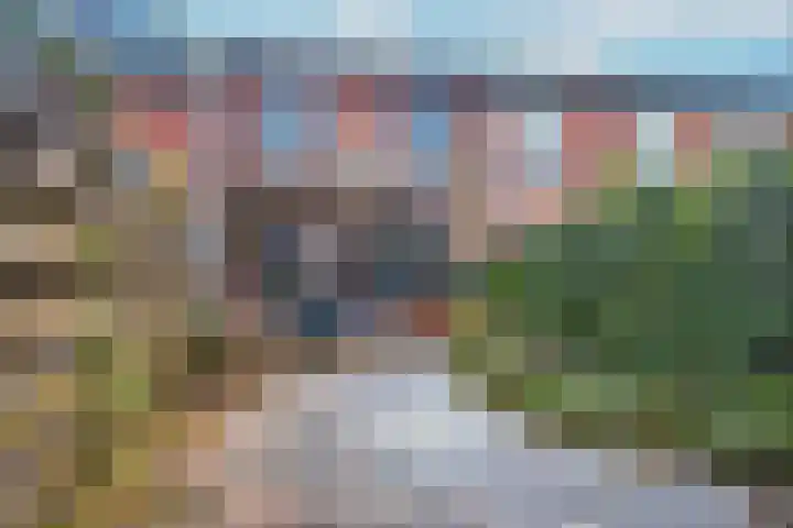 Zebraspoor 402 Maarssen thumbnail 38