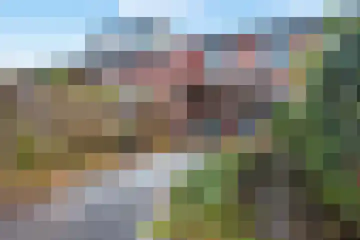 Zebraspoor 402 Maarssen thumbnail 39
