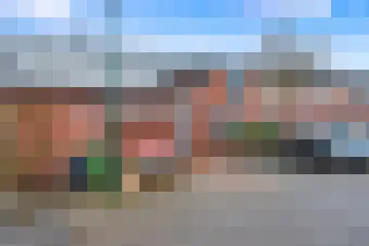 Zebraspoor 402 Maarssen thumbnail 41