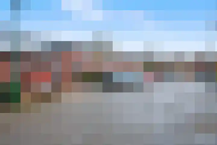 Zebraspoor 402 Maarssen thumbnail 42