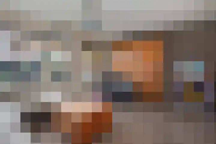 Zebraspoor 402 Maarssen thumbnail 5