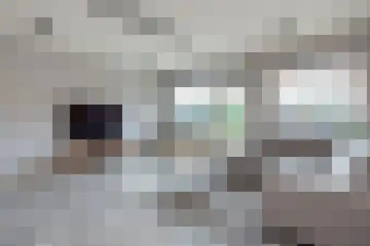 Zebraspoor 402 Maarssen thumbnail 6