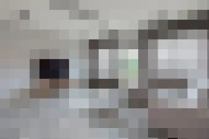 Zebraspoor 402 Maarssen thumbnail 7
