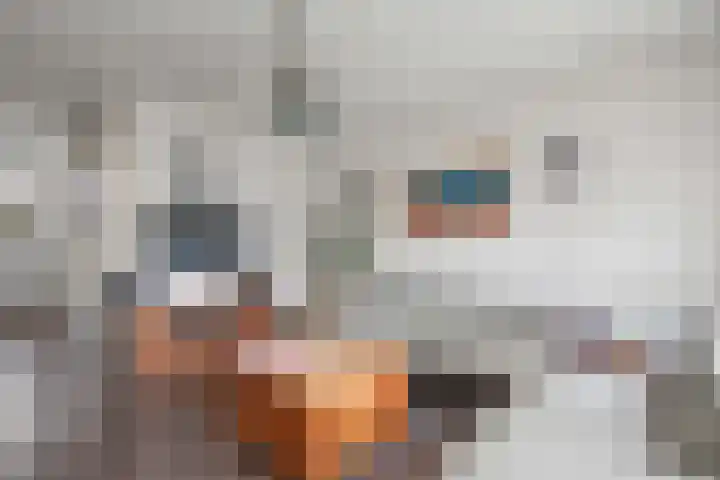 Zebraspoor 402 Maarssen thumbnail 8