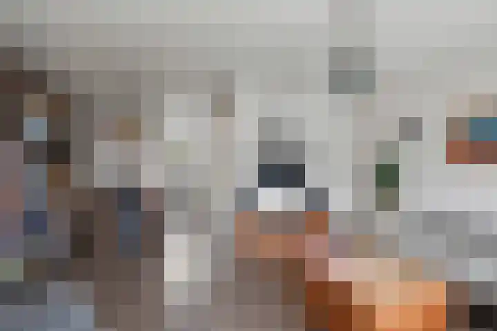 Zebraspoor 402 Maarssen thumbnail 9