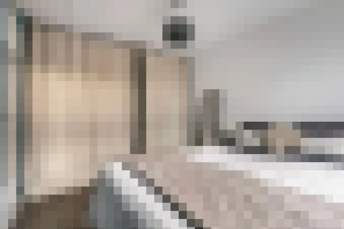 Zebraspoor 456 Maarssen thumbnail 21