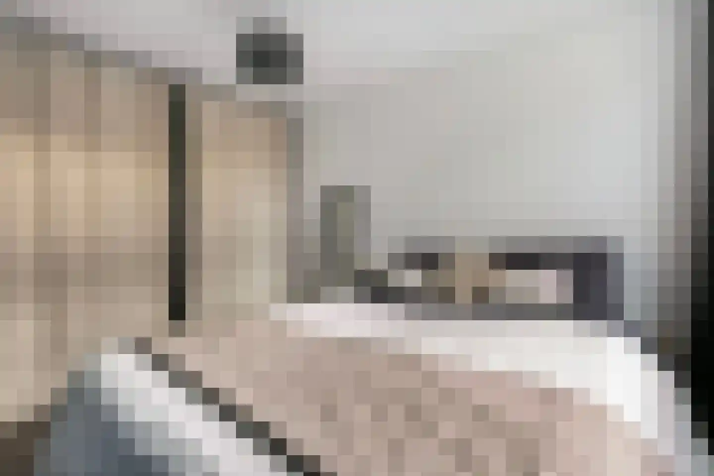 Zebraspoor 456 Maarssen thumbnail 22