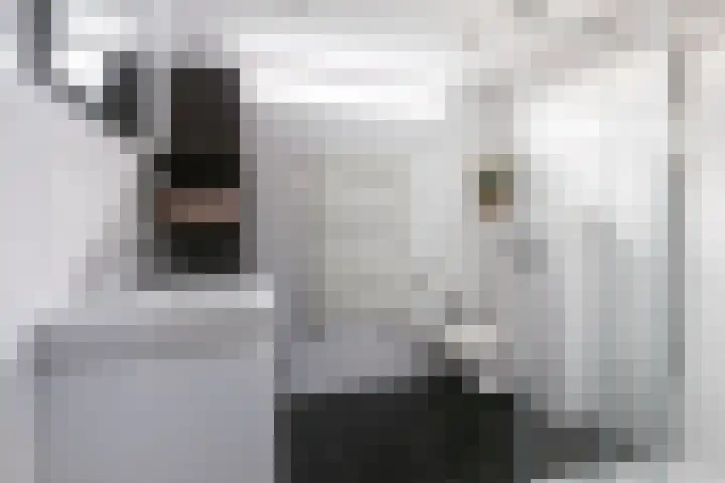 Zebraspoor 456 Maarssen thumbnail 23
