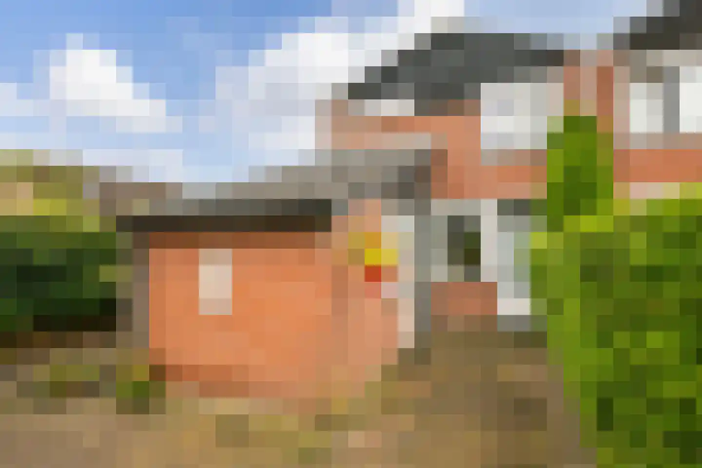 Zebraspoor 456 Maarssen thumbnail 25