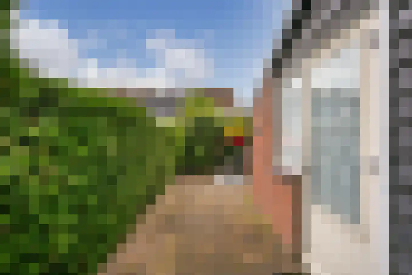 Zebraspoor 456 Maarssen thumbnail 27