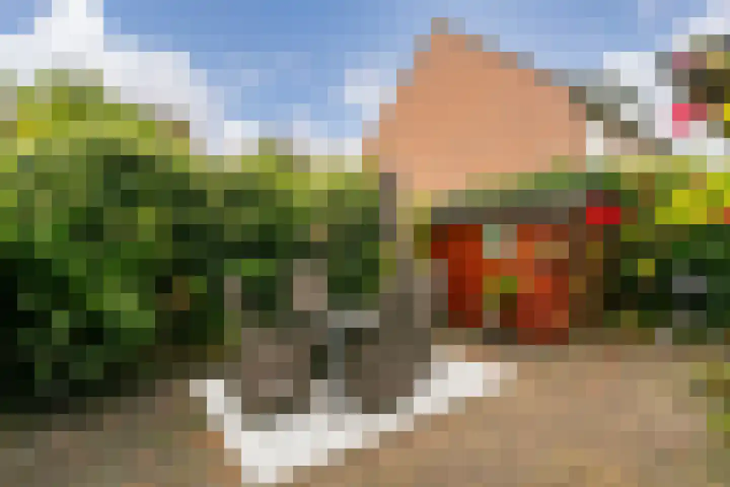 Zebraspoor 456 Maarssen thumbnail 28