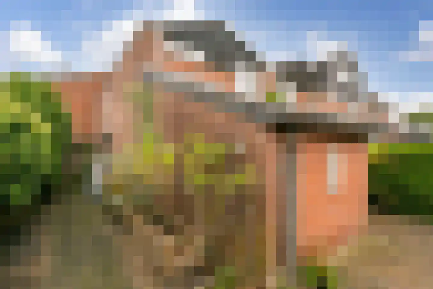 Zebraspoor 456 Maarssen thumbnail 30
