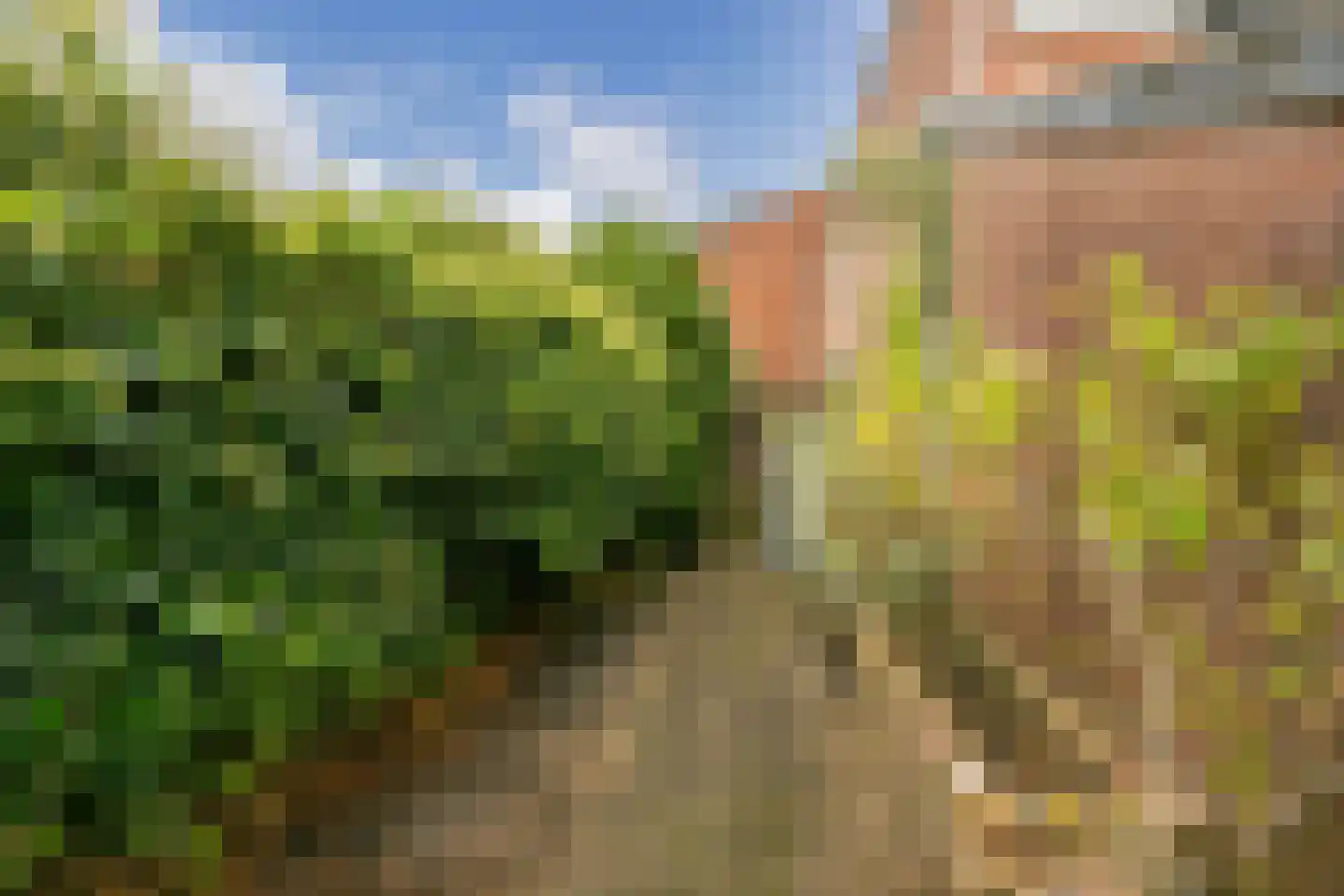 Zebraspoor 456 Maarssen thumbnail 31