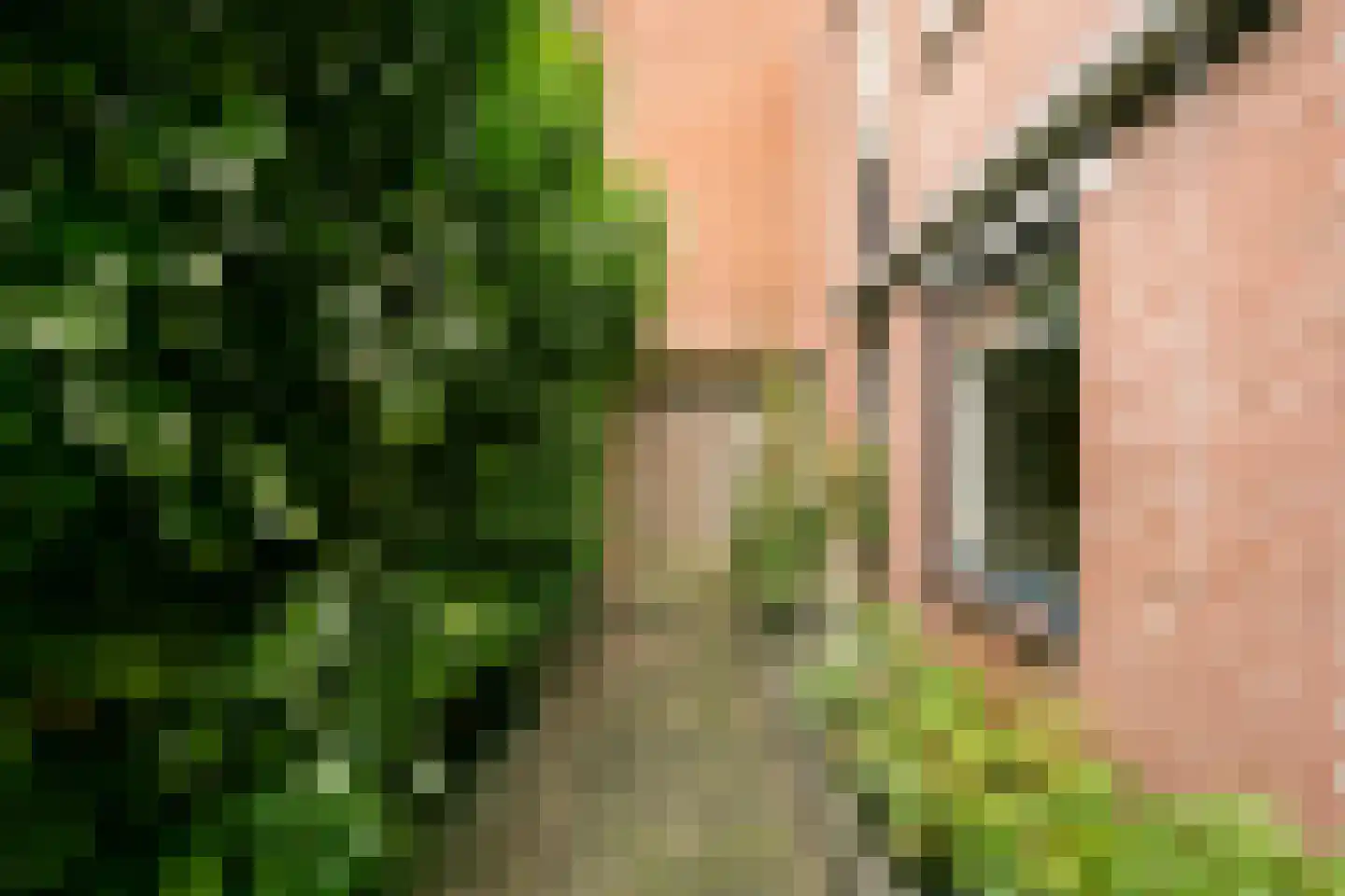 Zebraspoor 456 Maarssen thumbnail 32