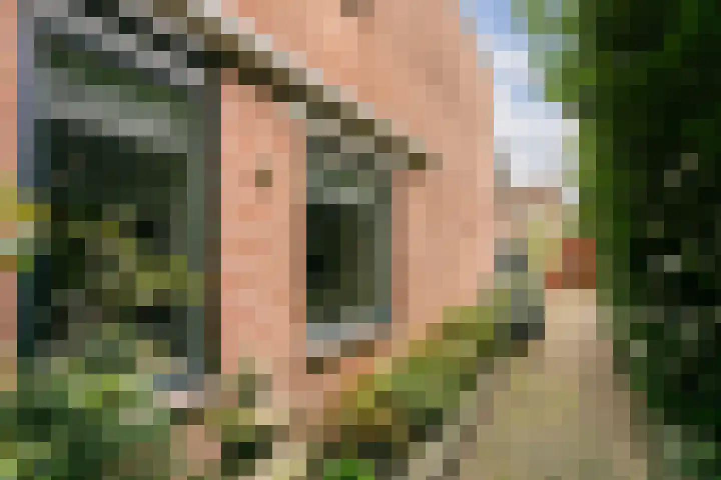 Zebraspoor 456 Maarssen thumbnail 33