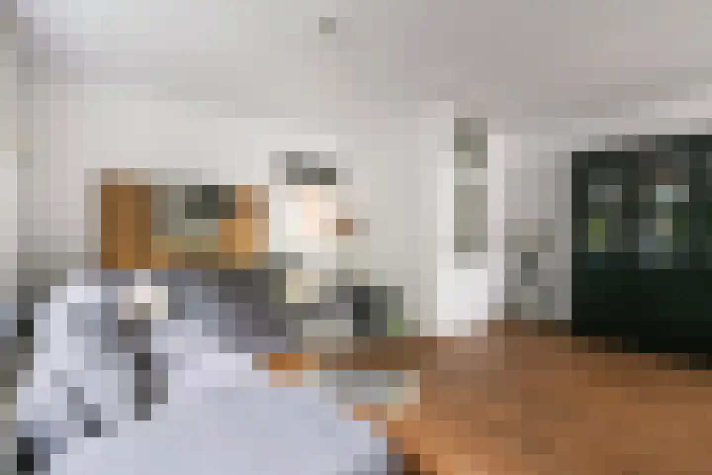 Zebraspoor 456 Maarssen thumbnail 6