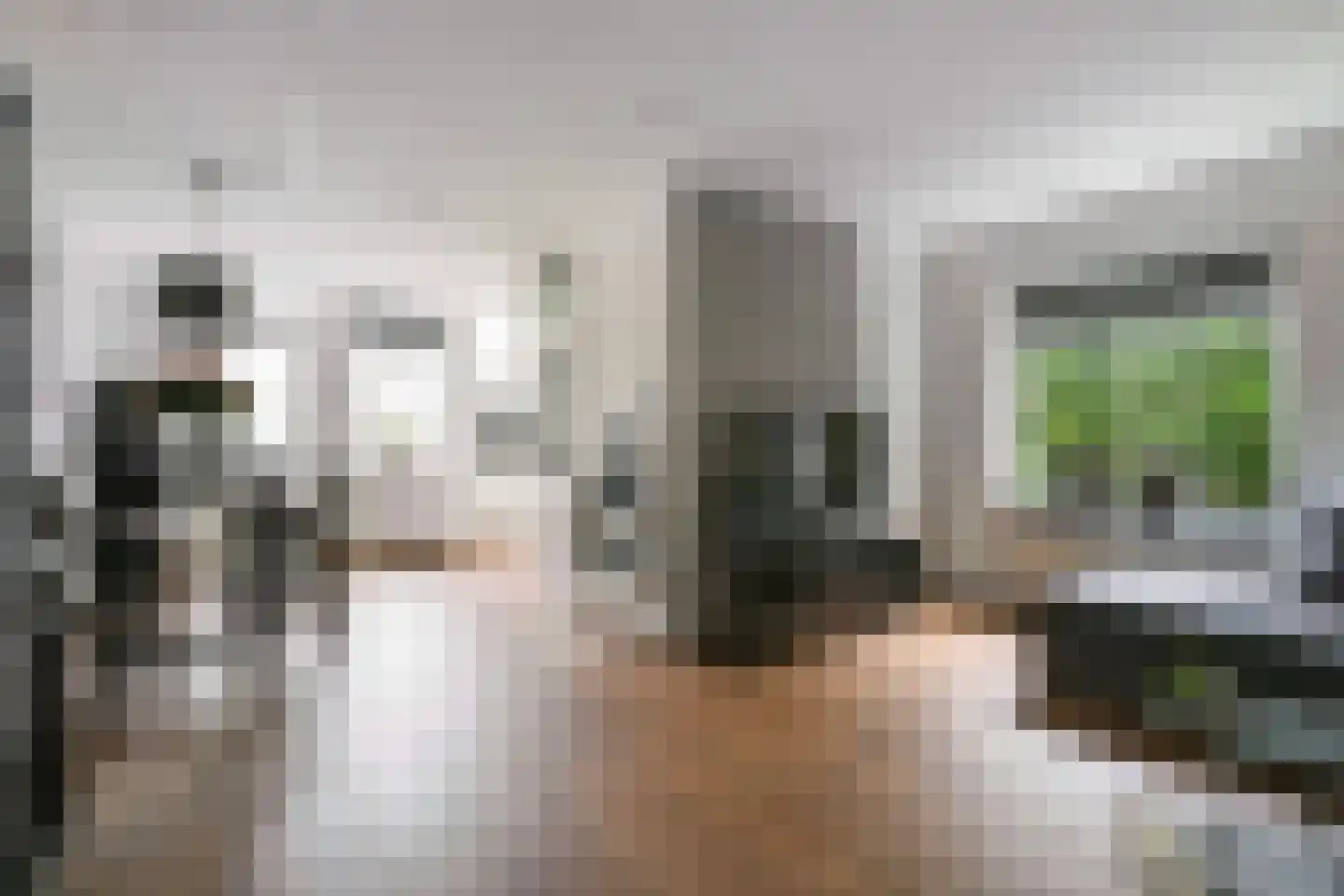 Zebraspoor 456 Maarssen thumbnail 8