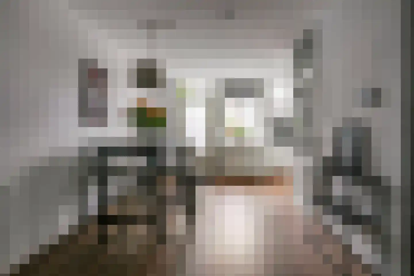 Zebraspoor 456 Maarssen thumbnail 9