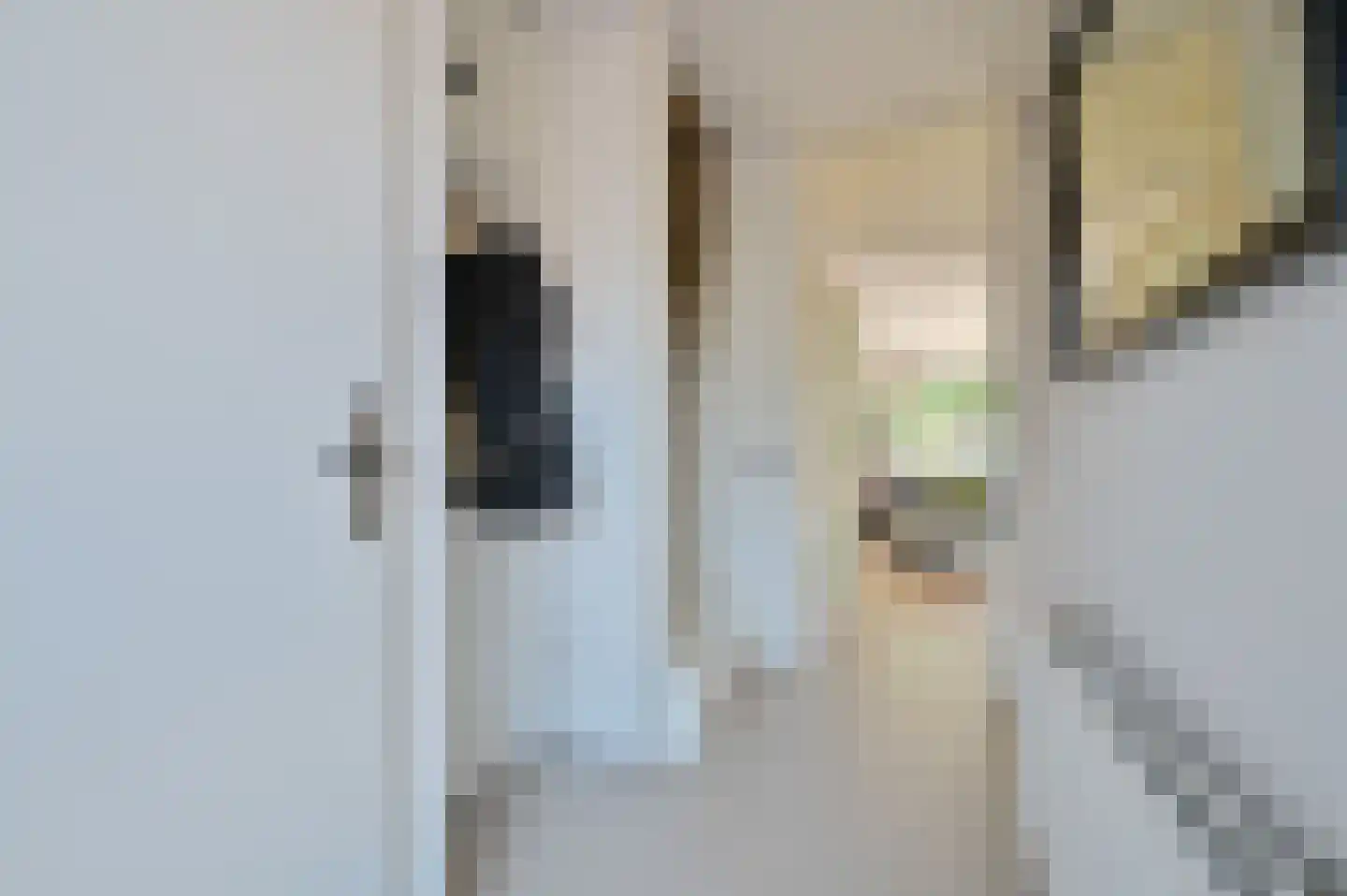Zebraspoor 477 Maarssen thumbnail 11