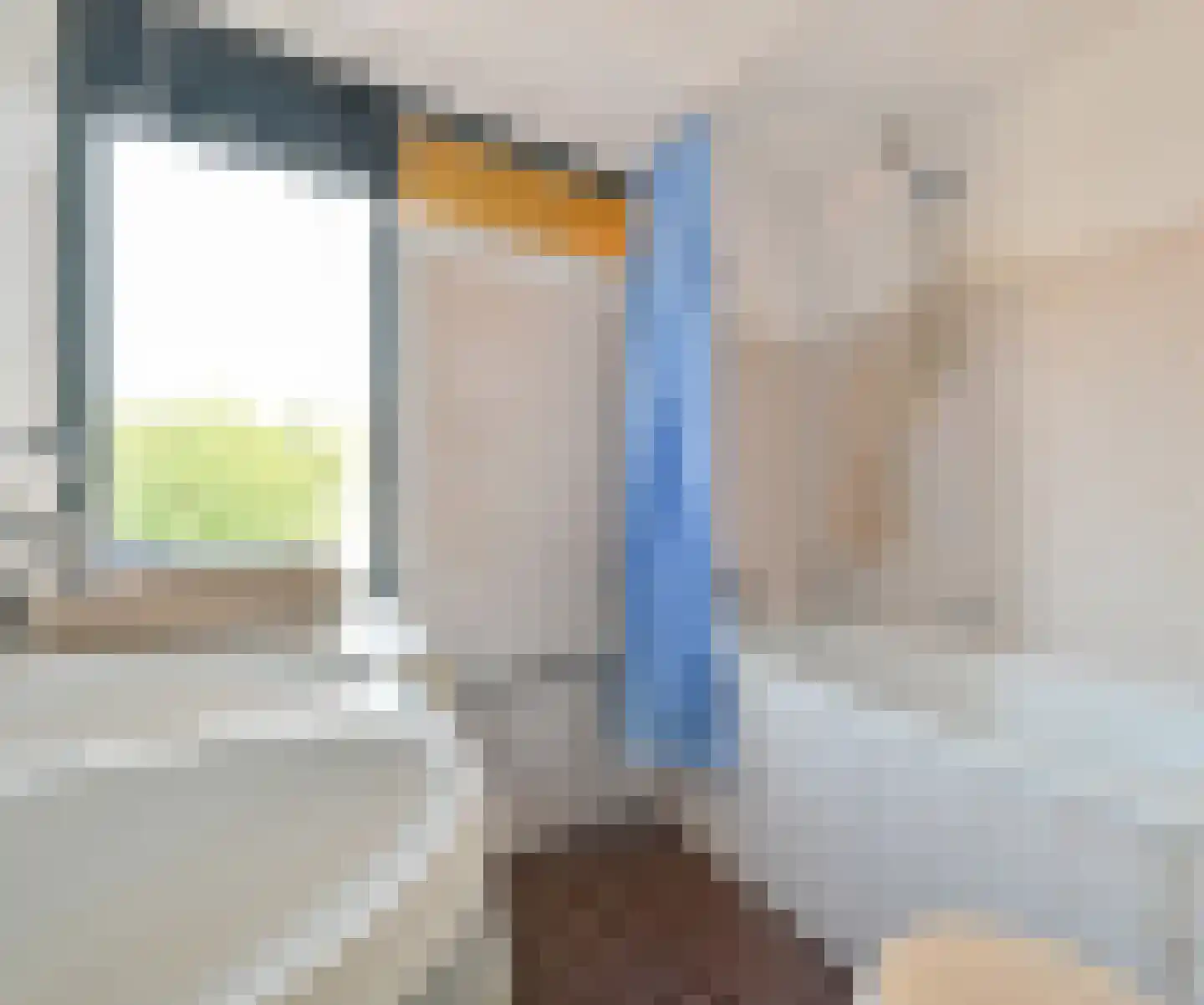 Zebraspoor 477 Maarssen thumbnail 17