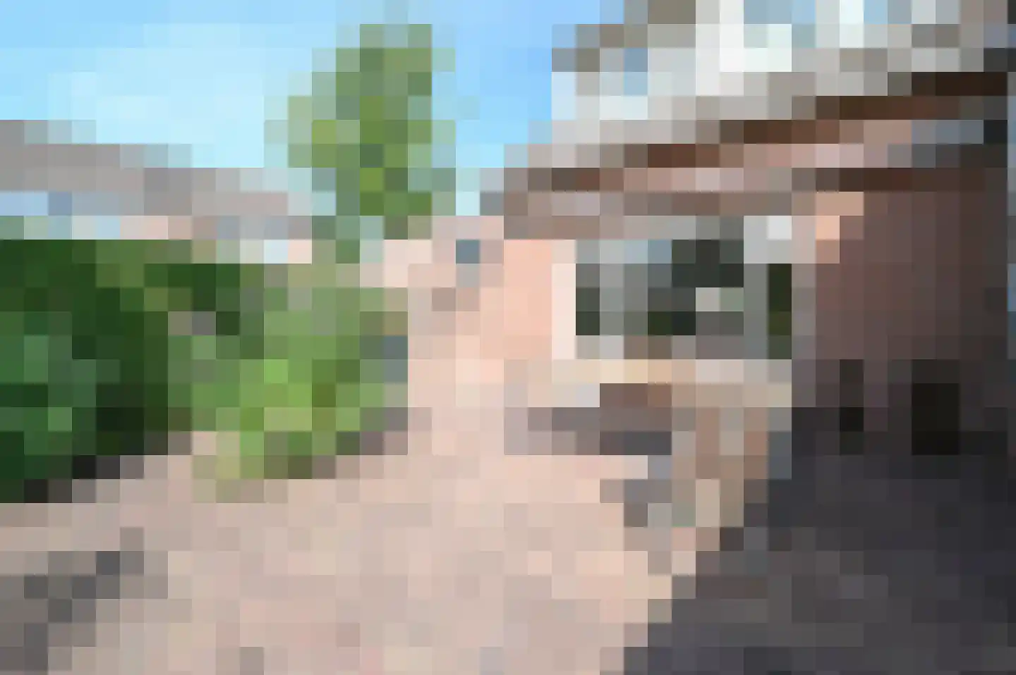 Zebraspoor 477 Maarssen thumbnail 21