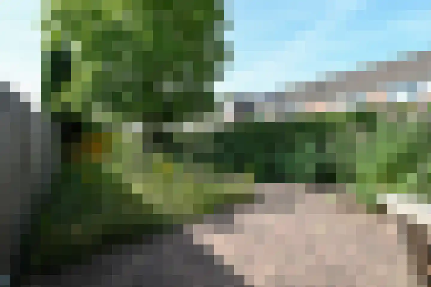 Zebraspoor 477 Maarssen thumbnail 23