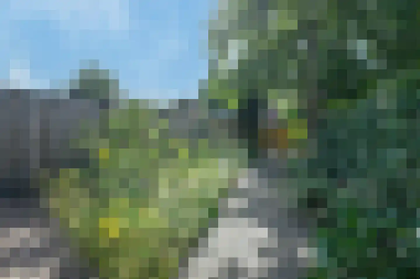 Zebraspoor 477 Maarssen thumbnail 24