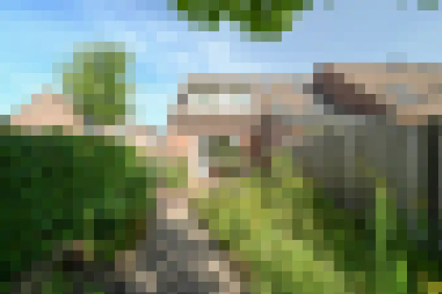 Zebraspoor 477 Maarssen thumbnail 25
