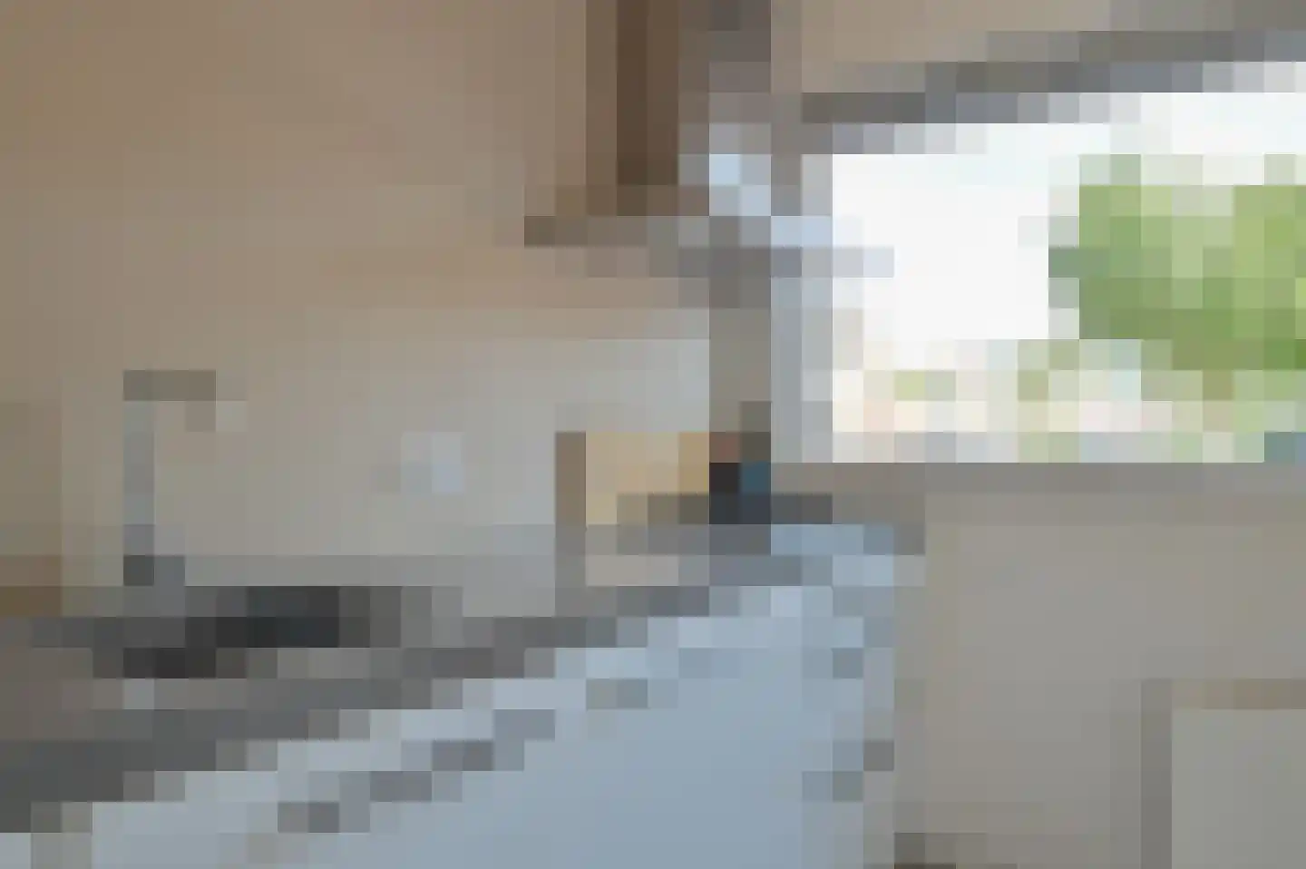 Zebraspoor 477 Maarssen thumbnail 8