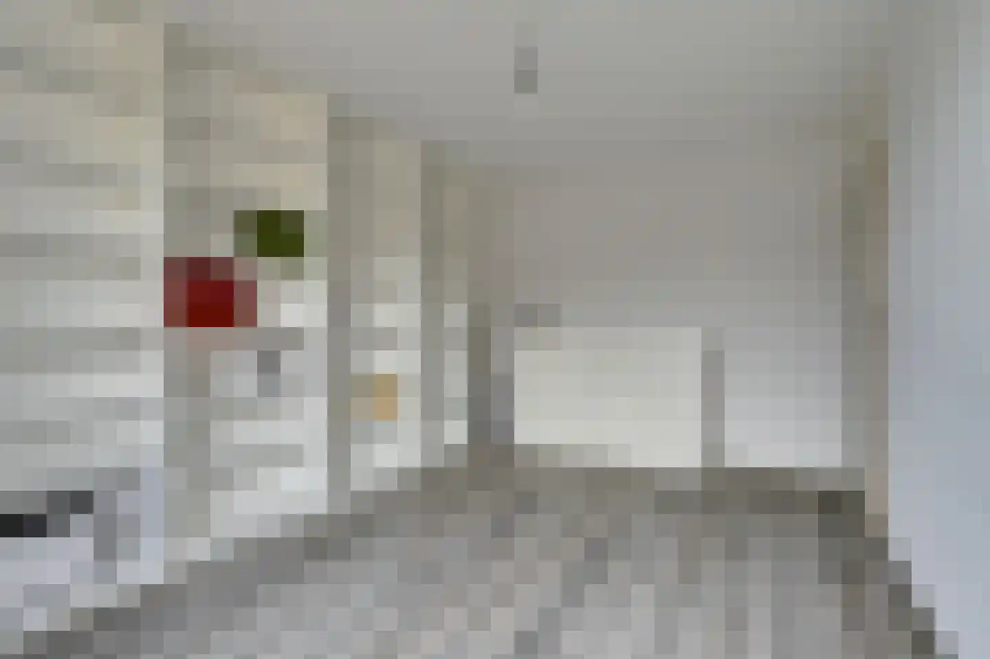 Zebraspoor 487 Maarssen thumbnail 21