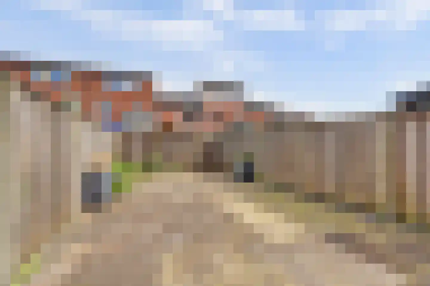 Zebraspoor 487 Maarssen thumbnail 32