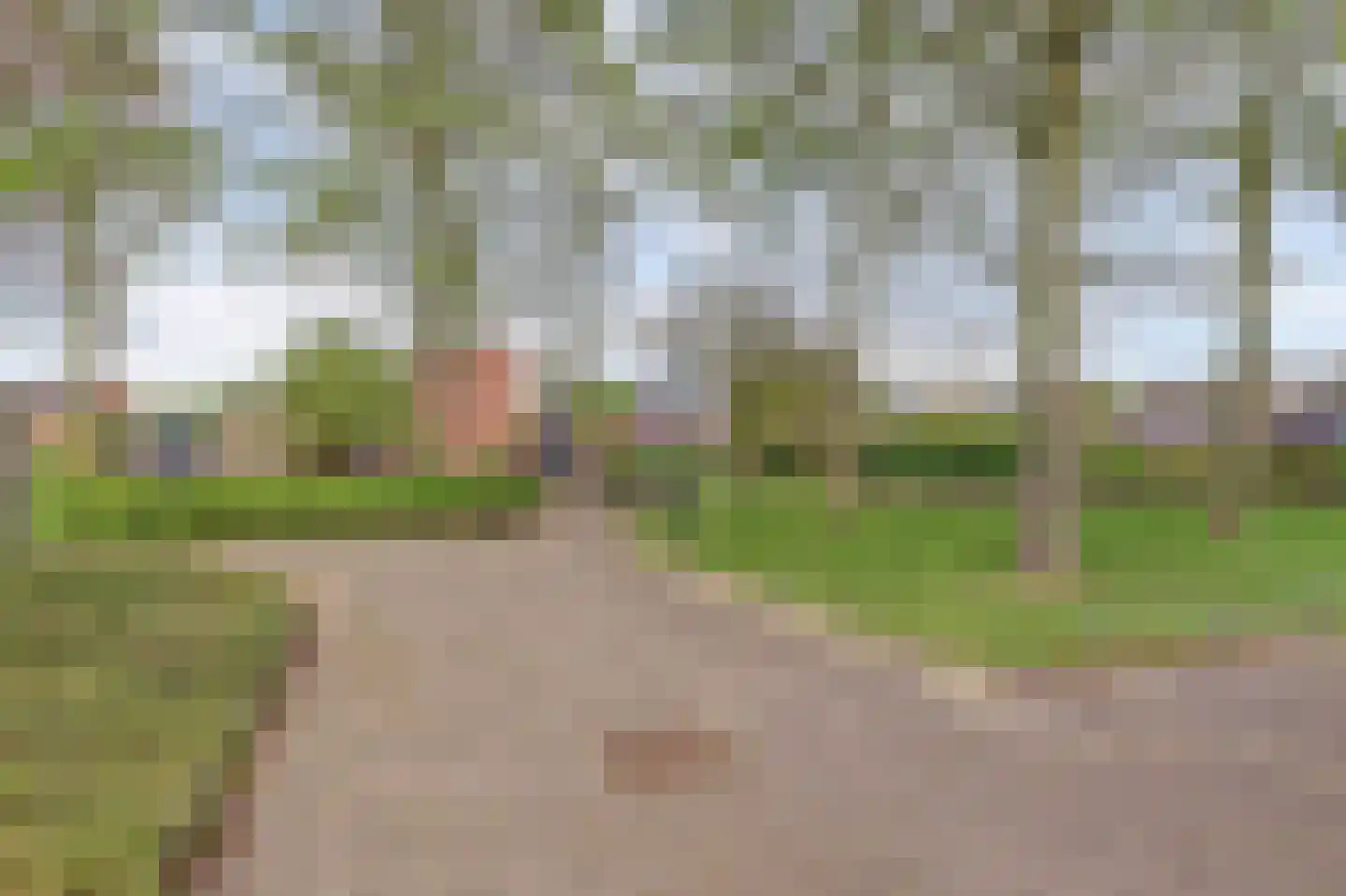Zebraspoor 487 Maarssen thumbnail 34