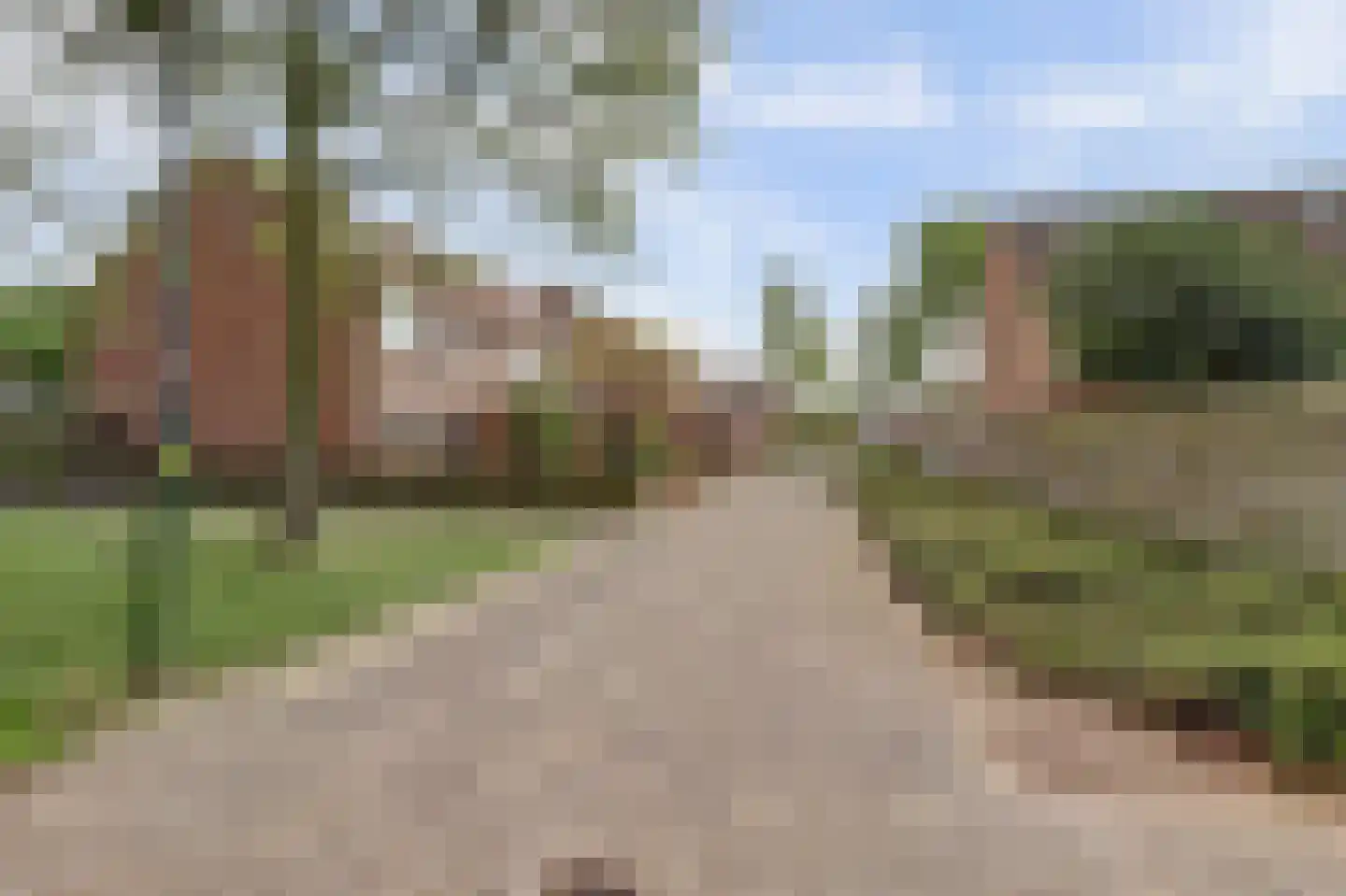 Zebraspoor 487 Maarssen thumbnail 35