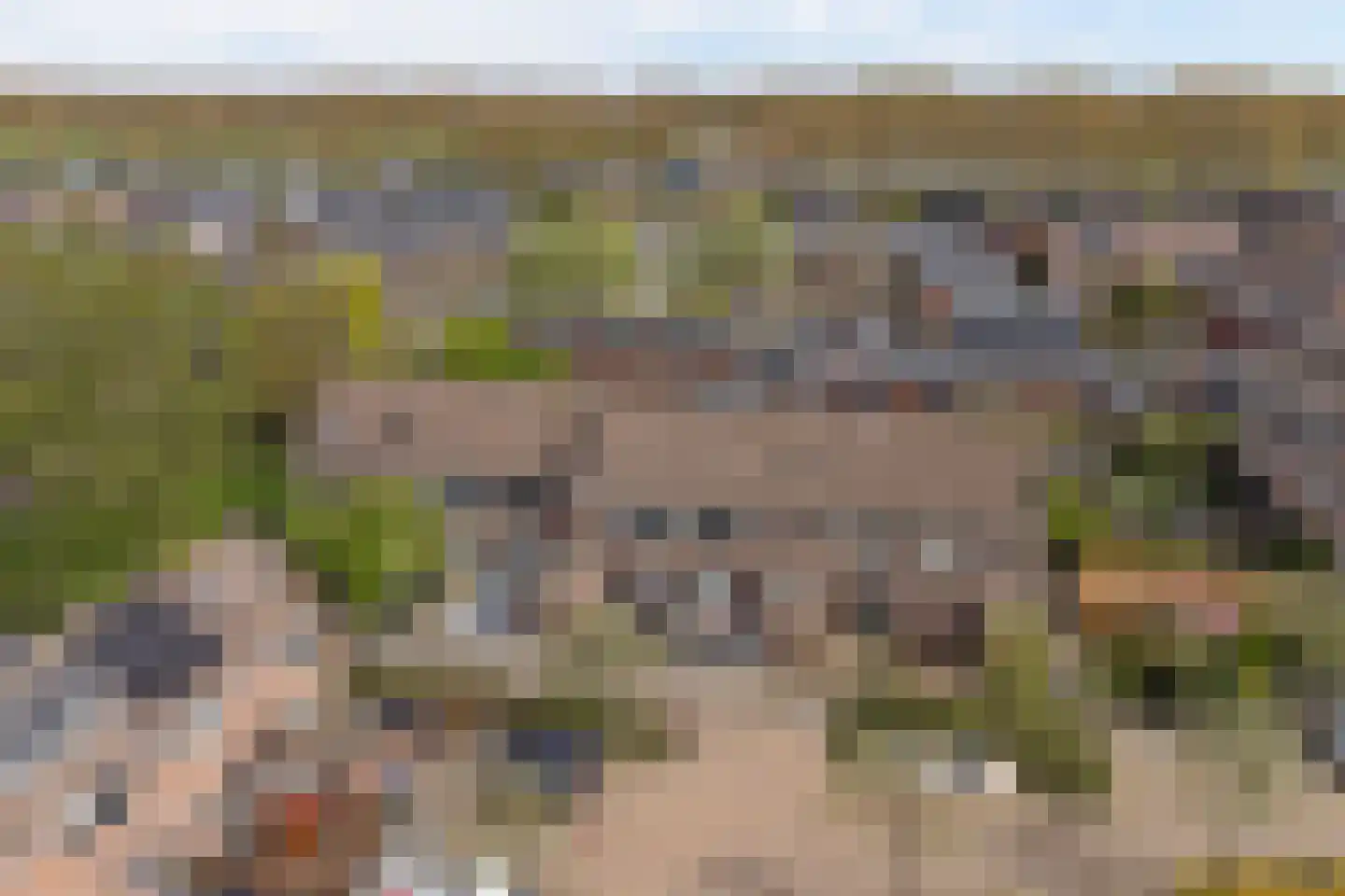 Zebraspoor 487 Maarssen thumbnail 42