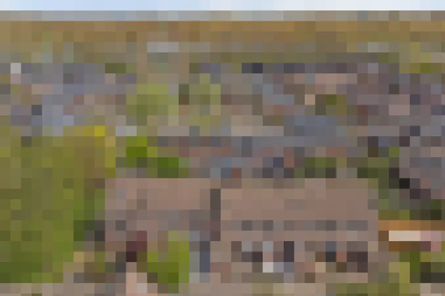 Zebraspoor 487 Maarssen thumbnail 43