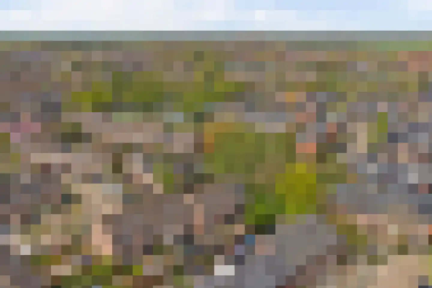 Zebraspoor 487 Maarssen thumbnail 44